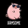 Hamsome
