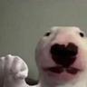 tommy muff knuckles